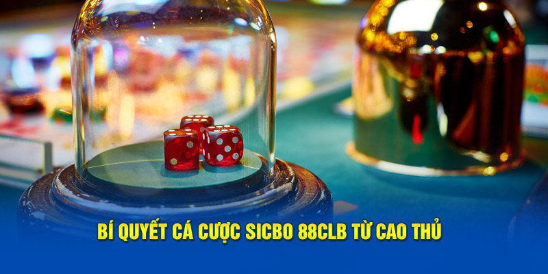 Bí quyết cá cược Sicbo 88CLB