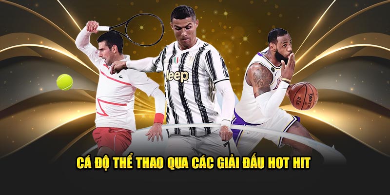 Cá độ thể thao qua các giải đấu hot hit 