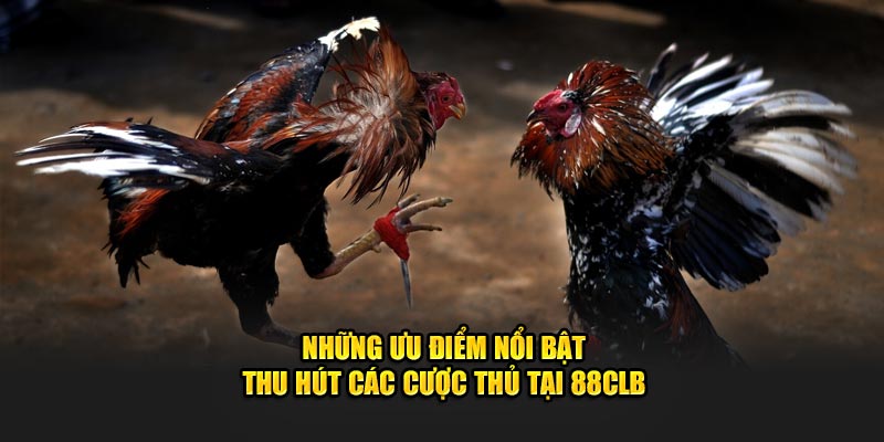 Những ưu điểm nổi bật thu hút cược thủ tại 88CLB