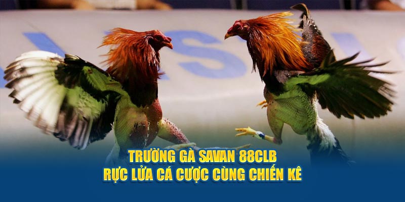 Trường Gà Savan 88CLB